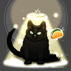 ║Full║ Magick kitty ║