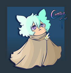 ║Flash║ Poipii ║